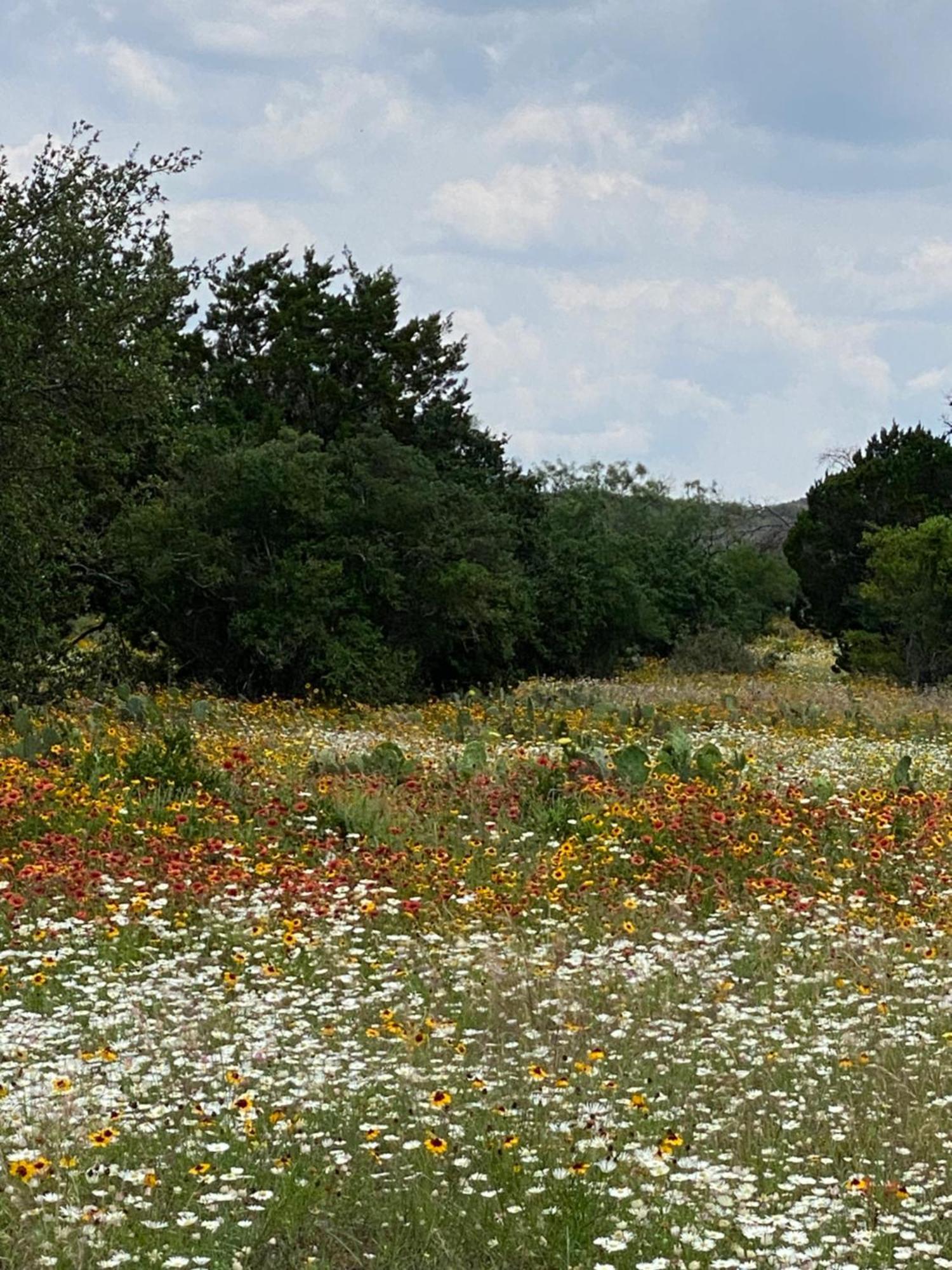 V700 Ranch Villa Marble Falls