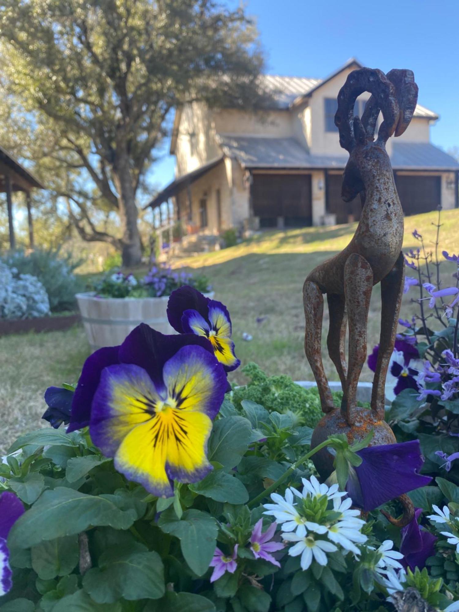 V700 Ranch Marble Falls